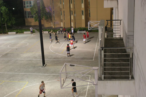 Basket at Prince George Park
