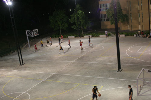 Basket at Prince George Park