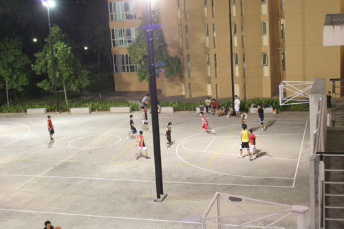 Basket at Prince George Park