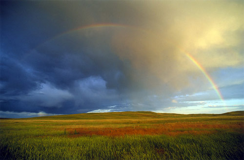 Nebraska Rainbow